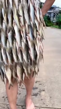 @video_smeshnye.mp4