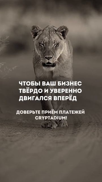Настройте приём платежей в криптовалюте для стабильн?