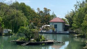 Адлер парк Южные культуры часть 4 // май 2025 года