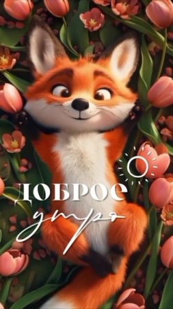 Доброе утро.