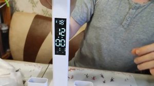 Настольный светильник из Чижика, обзор, настройка