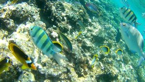 2025 Африка. Шарм-эль-Шейх. День 1