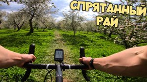 ГРЕВЕЛ покатушка | НЕВЕРОЯТНОЕ место в Коломенском парке