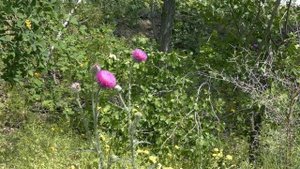 Волгоград 11 мая 2025