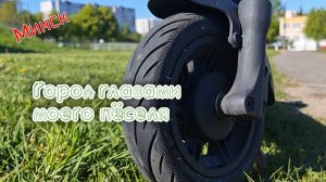 Минск. Город глазами моего пёселя
