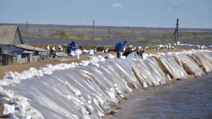 Вода в реке Ишим поднялась до критической отметки. Вдоль трасс и дорог возведены дамбы и насыпи