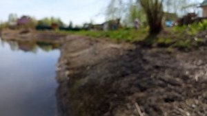 рыбалка на уклейку такого клёва не ожидали,окунь покоя не даёт