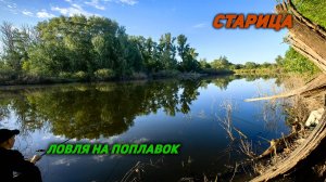 Ловля карася на поплавочную удочку