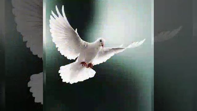 Пока дышу,живу и верю Автор слов Таис Никольская Исполнение Георгий смотреть онлайн