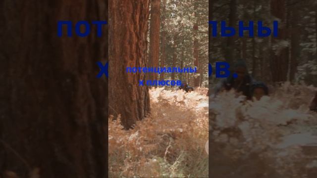 гвоздика помогает