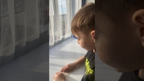 Мастер класс