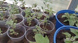 Очень холодный май 2025❄