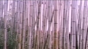 Ваня исследует парк🌈🌈🌈