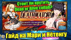 Langrisser M: Стоит ли крутить Dead or Alive collab? Гайд на Мари и Нётенгу