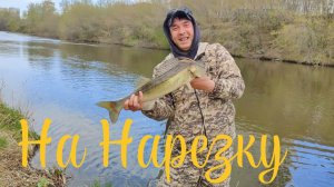 Лещ на пенопласт,судак на нарезку.