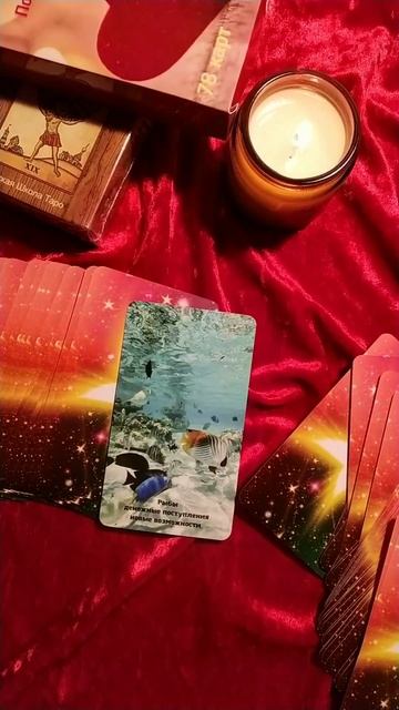 что обрадует 🐸 #таро #магиятароонлайн #ведьма #tarot #тар
