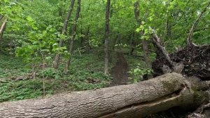 Сторожевое 02.05