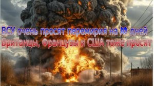 Новости СВО Сегодня-ВСУ очень просят перемирия на 30 дней Британцы, Французы и США тоже просят