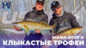 МАМА-ВОЛГА | КЛЫКАСТЫЕ ТРОФЕИ | САМЫЕ ЯРКИЕ ПОКЛЁВКИ ТУРНИРА