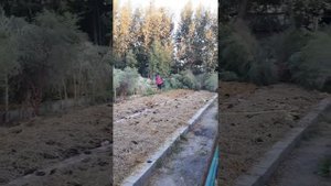 Сув сепиш жараёни