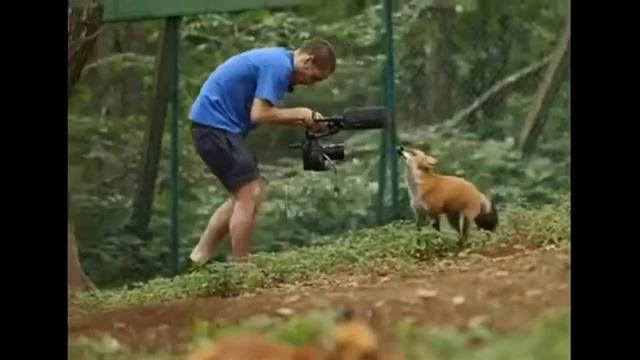 Мягкие Приколы 30 Секунд смотреть онлайн