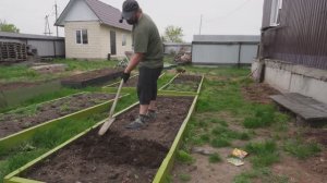 Овощи больше не покупаю Выращиваю сам Тяжелые деревенские будни Сею морковь