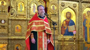 Проповедь в Неделю 4-ю по Пасхе, о расслабленном | Иерей Александр Назин | 11.05.2025 г.