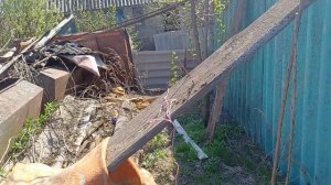 ОГОРОД/ПОСАДИЛА ВСЁ, ЧТО МОЖНО/ЭКСИБИШН/ВСЁ ЦВЕТЁТ И ДАЖЕ ПЕРСИК 🍑