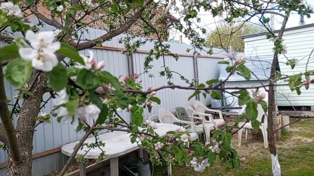 Пройдёмся по огороду.