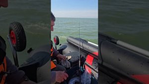 9.05.25 Сахалин. Анивский залив. Выход за камбалой #fishing #сахалин