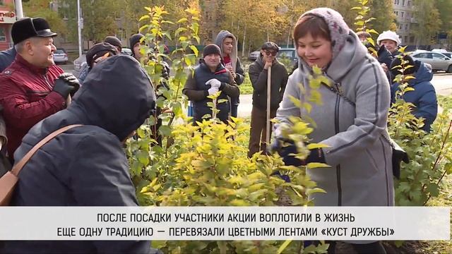Акция "Сквер Дружбы народов" смотреть онлайн