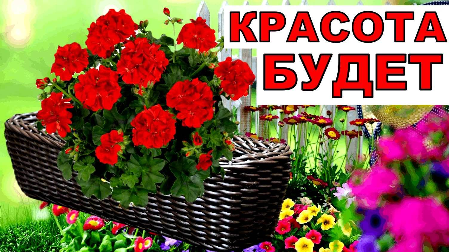 Новые шикарные ящики для красоток пеларгоний. Высадила и скоро на окна