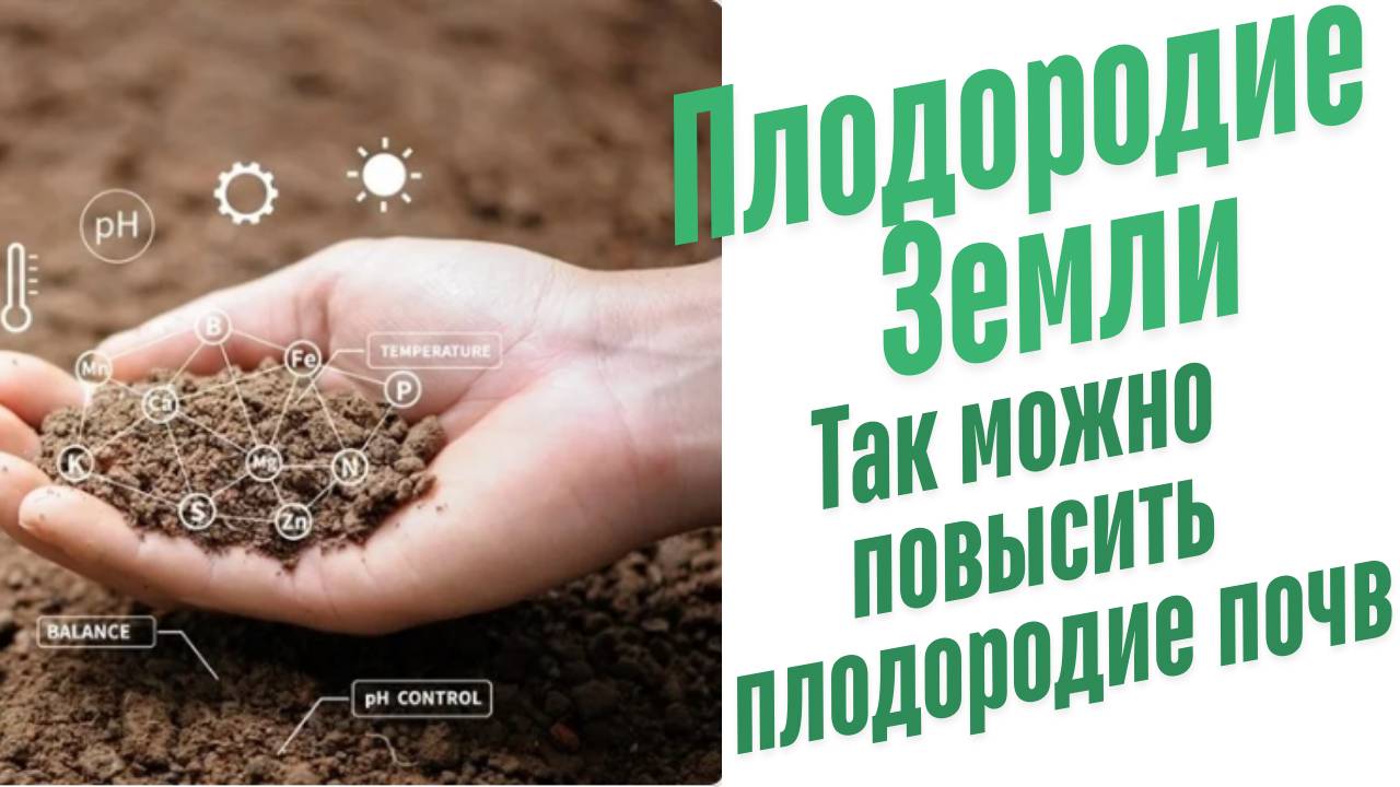 Как можно повысить плодородие почв?