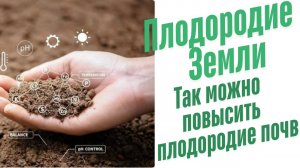 Как можно повысить плодородие почв?
