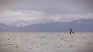 Вингфойл и кайт на Камчатке. Наши дни.