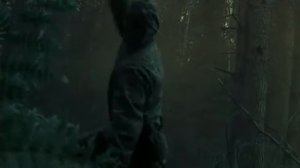 Главный калибр