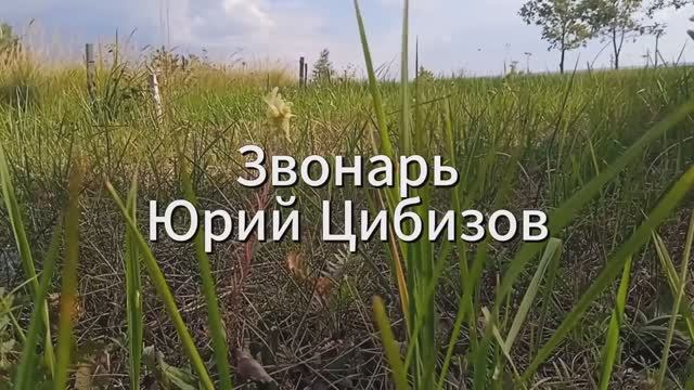 Юрий Цибизов - Звонарь (песня о матери) #мама
