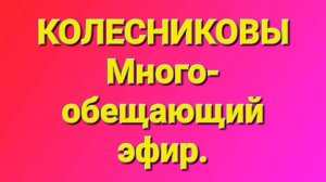 Колесниковы/Обзор стрима.