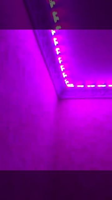 RGB светодиодная лента смотреть онлайн