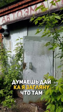 Место обманка #shorts