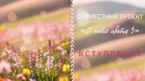 СП «А лето цвета 3». ВСТУПЛЕНИЕ | #свойклубок