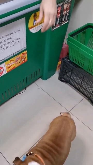 Лучший покупатель смотреть онлайн