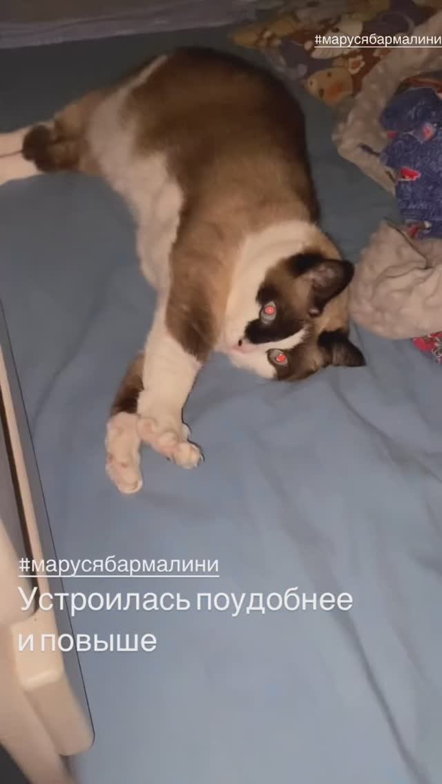 Маруся Бармалини заняла Мишину кровать