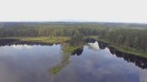 Эх, ты русь моя белокурая