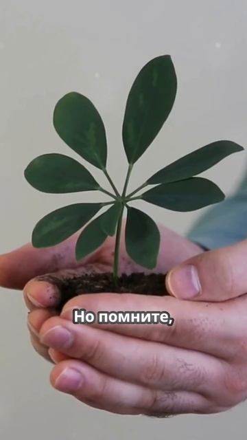 Постройте своё финансовое благосостояние с увереннос
