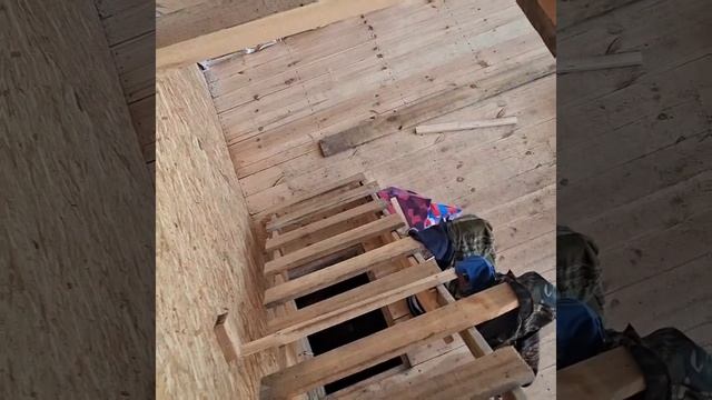 1000023486.mp4 (Собака смотрит на каркас для э/кабелей, установленный в доме А-фрейм)