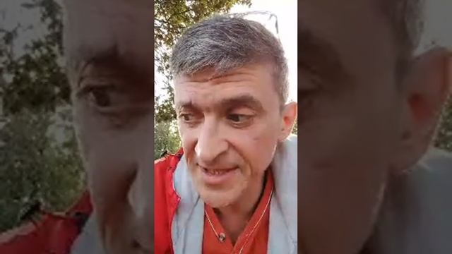 Справка о том, что есть справка!!! ТВ МАЭСТРО смотреть онлайн