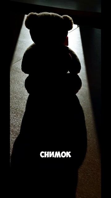 Контровой свет #фото #фотограф #фотография #снимок #тре смотреть онлайн