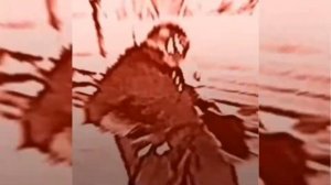 ШАБЛОН МЕМА ЧУМНОЙ ДОКТОР ИДЁТ ПОД КРУТОЕ МУЗЛО