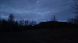 oxota.prof Диалоги с природой. Охота на вальшнепа под шёпот вечера.